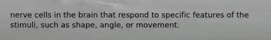 nerve cells in the brain that respond to specific features of the stimuli, such as shape, angle, or movement.