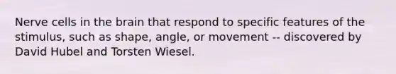 Nerve cells in the brain that respond to specific features of the stimulus, such as shape, angle, or movement -- discovered by David Hubel and Torsten Wiesel.