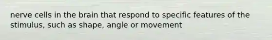 nerve cells in the brain that respond to specific features of the stimulus, such as shape, angle or movement