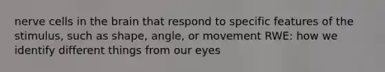 nerve cells in the brain that respond to specific features of the stimulus, such as shape, angle, or movement RWE: how we identify different things from our eyes