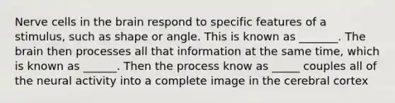 Nerve cells in the brain respond to specific features of a stimulus, such as shape or angle. This is known as _______. The brain then processes all that information at the same time, which is known as ______. Then the process know as _____ couples all of the neural activity into a complete image in the cerebral cortex