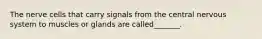 The nerve cells that carry signals from the central nervous system to muscles or glands are called_______.