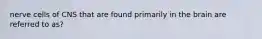 nerve cells of CNS that are found primarily in the brain are referred to as?