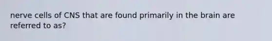 nerve cells of CNS that are found primarily in the brain are referred to as?