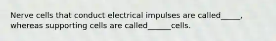 Nerve cells that conduct electrical impulses are called_____, whereas supporting cells are called______cells.