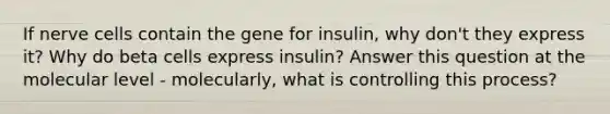 If nerve cells contain the gene for insulin, why don't they express it? Why do beta cells express insulin? Answer this question at the molecular level - molecularly, what is controlling this process?