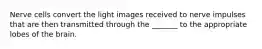 Nerve cells convert the light images received to nerve impulses that are then transmitted through the _______ to the appropriate lobes of the brain.