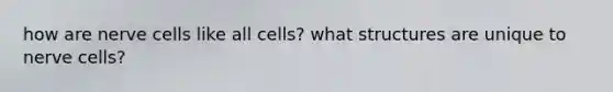 how are nerve cells like all cells? what structures are unique to nerve cells?