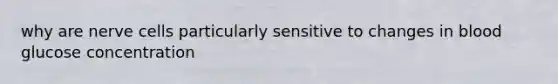why are nerve cells particularly sensitive to changes in blood glucose concentration