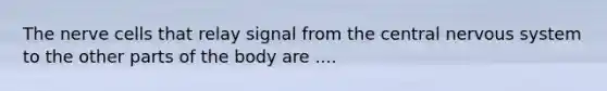 The nerve cells that relay signal from the central nervous system to the other parts of the body are ....