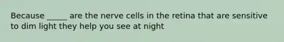 Because _____ are the nerve cells in the retina that are sensitive to dim light they help you see at night