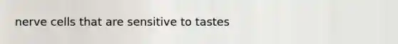 nerve cells that are sensitive to tastes