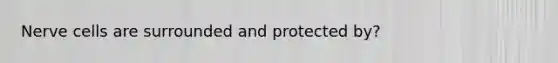 Nerve cells are surrounded and protected by?