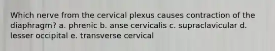 Which nerve from the cervical plexus causes contraction of the diaphragm? a. phrenic b. anse cervicalis c. supraclavicular d. lesser occipital e. transverse cervical