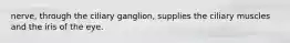 nerve, through the ciliary ganglion, supplies the ciliary muscles and the iris of the eye.