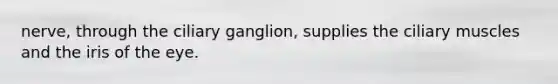 nerve, through the ciliary ganglion, supplies the ciliary muscles and the iris of the eye.
