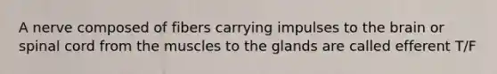 A nerve composed of fibers carrying impulses to the brain or spinal cord from the muscles to the glands are called efferent T/F