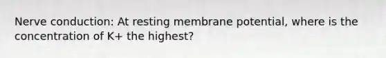 Nerve conduction: At resting membrane potential, where is the concentration of K+ the highest?