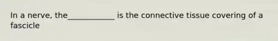 In a nerve, the____________ is the connective tissue covering of a fascicle