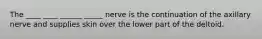 The ____ ____ ______ _____ nerve is the continuation of the axillary nerve and supplies skin over the lower part of the deltoid.