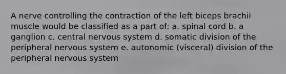 A nerve controlling the contraction of the left biceps brachii muscle would be classified as a part of: a. spinal cord b. a ganglion c. central nervous system d. somatic division of the peripheral nervous system e. autonomic (visceral) division of the peripheral nervous system