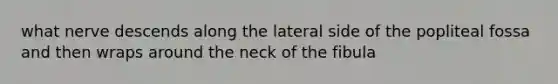 what nerve descends along the lateral side of the popliteal fossa and then wraps around the neck of the fibula