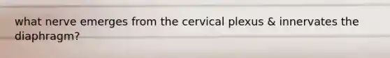 what nerve emerges from the cervical plexus & innervates the diaphragm?