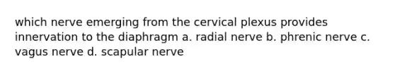 which nerve emerging from the cervical plexus provides innervation to the diaphragm a. radial nerve b. phrenic nerve c. vagus nerve d. scapular nerve