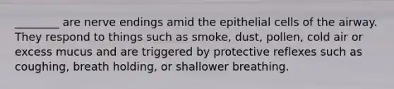 ________ are nerve endings amid the epithelial cells of the airway. They respond to things such as smoke, dust, pollen, cold air or excess mucus and are triggered by protective reflexes such as coughing, breath holding, or shallower breathing.