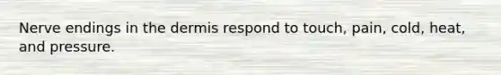 Nerve endings in the dermis respond to touch, pain, cold, heat, and pressure.