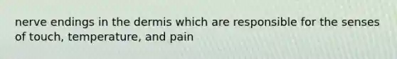 nerve endings in the dermis which are responsible for the senses of touch, temperature, and pain