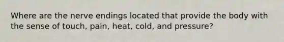 Where are the nerve endings located that provide the body with the sense of touch, pain, heat, cold, and pressure?