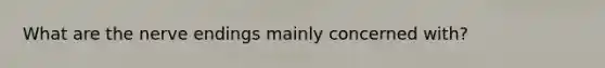What are the nerve endings mainly concerned with?
