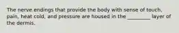 The nerve endings that provide the body with sense of touch, pain, heat cold, and pressure are housed in the _________ layer of the dermis.