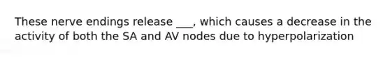 These nerve endings release ___, which causes a decrease in the activity of both the SA and AV nodes due to hyperpolarization