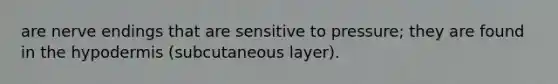 are nerve endings that are sensitive to pressure; they are found in the hypodermis (subcutaneous layer).