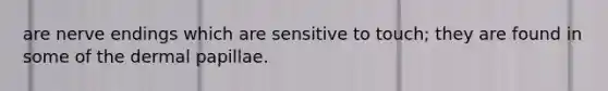 are nerve endings which are sensitive to touch; they are found in some of the dermal papillae.