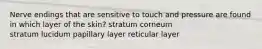 Nerve endings that are sensitive to touch and pressure are found in which layer of the skin? stratum corneum stratum lucidum papillary layer reticular layer