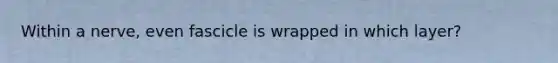 Within a nerve, even fascicle is wrapped in which layer?