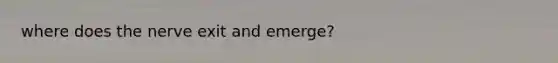 where does the nerve exit and emerge?