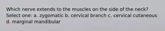 Which nerve extends to the muscles on the side of the neck? Select one: a. zygomatic b. cervical branch c. cervical cutaneous d. marginal mandibular