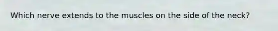 Which nerve extends to the muscles on the side of the neck?