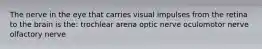 The nerve in the eye that carries visual impulses from the retina to the brain is the: trochlear arena optic nerve oculomotor nerve olfactory nerve