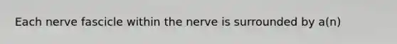 Each nerve fascicle within the nerve is surrounded by a(n)