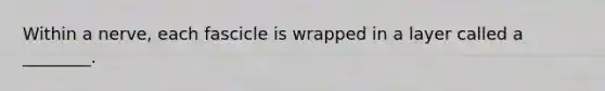 Within a nerve, each fascicle is wrapped in a layer called a ________.