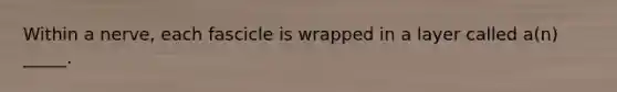 Within a nerve, each fascicle is wrapped in a layer called a(n) _____.