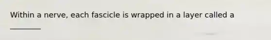 Within a nerve, each fascicle is wrapped in a layer called a ________