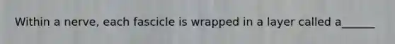 Within a nerve, each fascicle is wrapped in a layer called a______