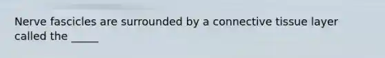 Nerve fascicles are surrounded by a <a href='https://www.questionai.com/knowledge/kYDr0DHyc8-connective-tissue' class='anchor-knowledge'>connective tissue</a> layer called the _____