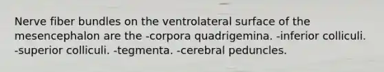 Nerve fiber bundles on the ventrolateral surface of the mesencephalon are the -corpora quadrigemina. -inferior colliculi. -superior colliculi. -tegmenta. -cerebral peduncles.